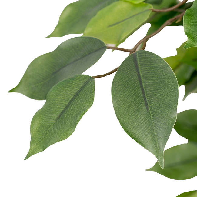 Real Touch Ficus Tree Green (180cmH)