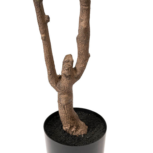 Artificial Eucalyptus Saligna Tree Potted Green (160cmH)