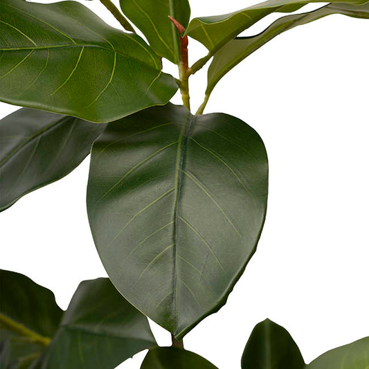Real Touch Rubber Tree Green (150cmH)