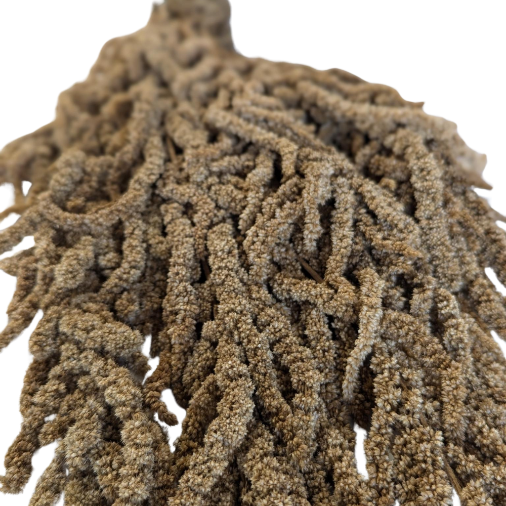 Preserved Hanging Amaranthus, 50-80cm, 150 gram, Sand