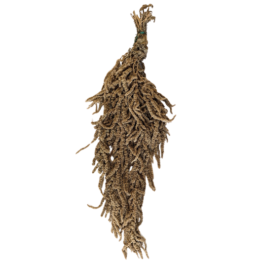 Preserved Hanging Amaranthus, 50-80cm, 150 gram, Sand