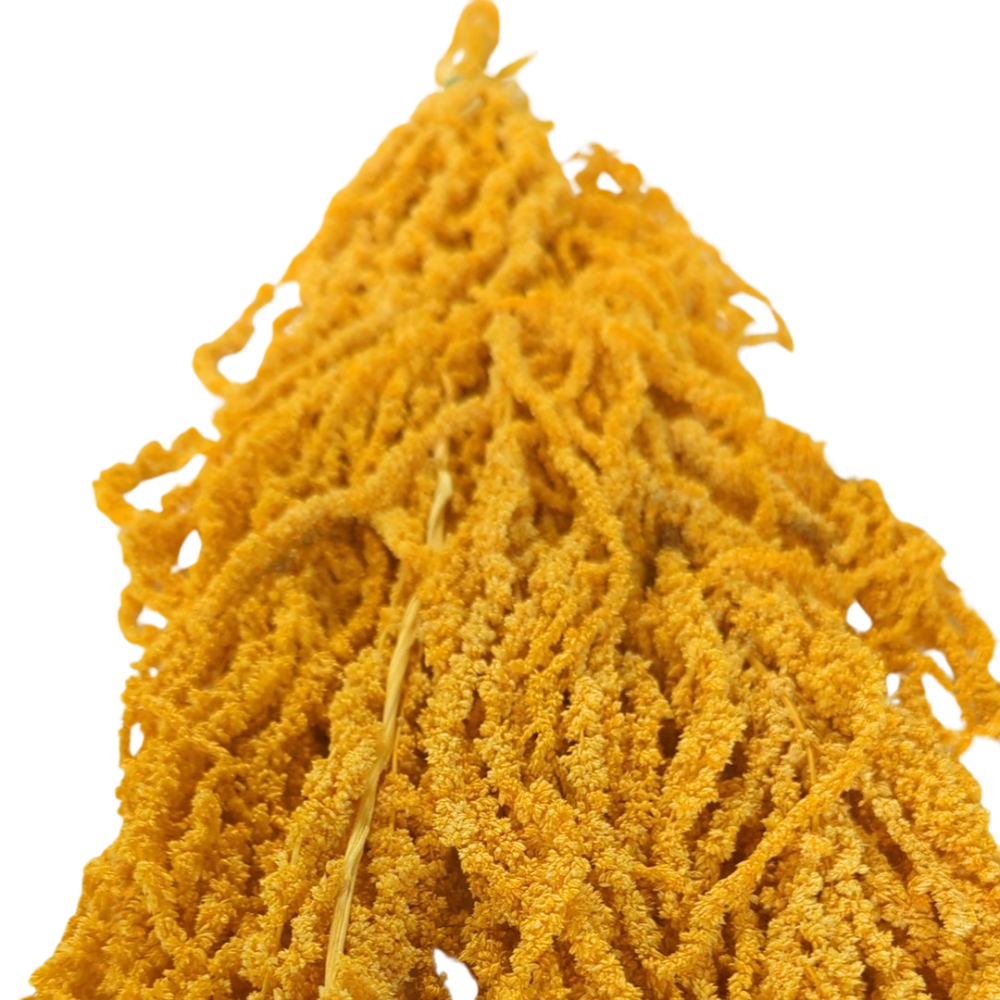 Preserved Hanging Amaranthus, 50-80cm, 150 gram, Yellow
