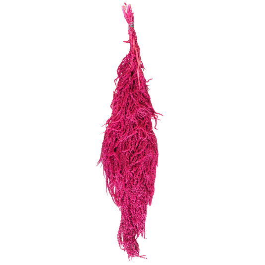 Preserved Hanging Amaranthus, 50-80cm, 150 gram, Hot Pink