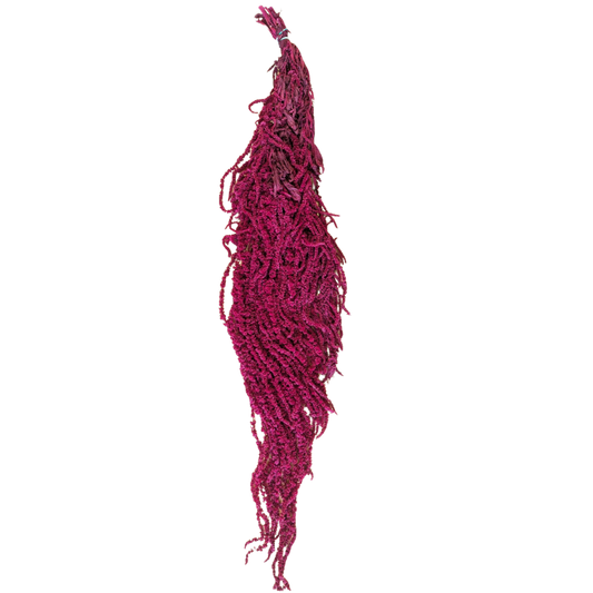 Preserved Hanging Amaranthus, 50-80cm, 150 gram, Dark Pink