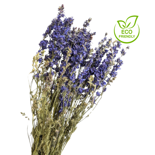 Dried Delphinium, 20 stems, 70cm, Natural Blue