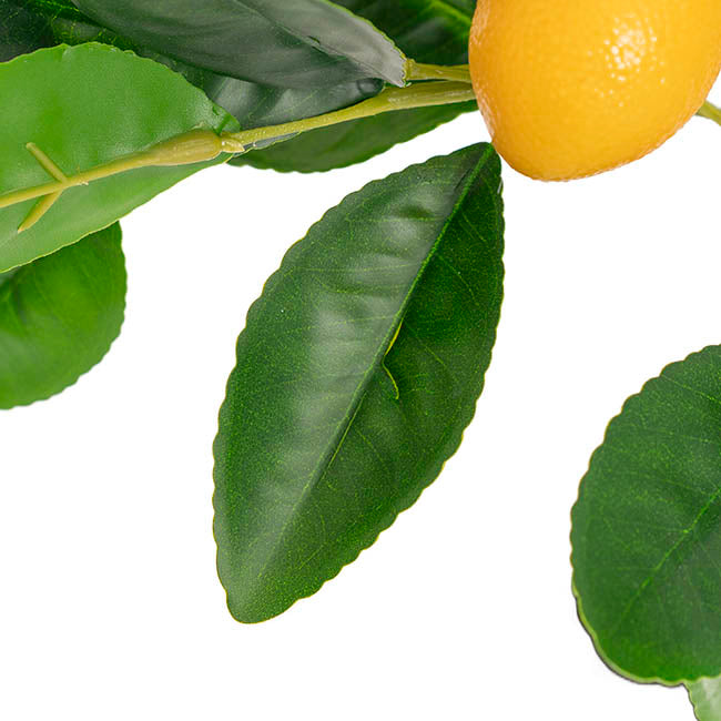 Real Touch Artificial Lemon Tree Potted Green (40cmH)