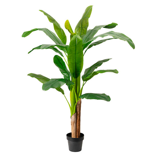 Artificial Banana Tree 3 Trunk Green (180cmH)