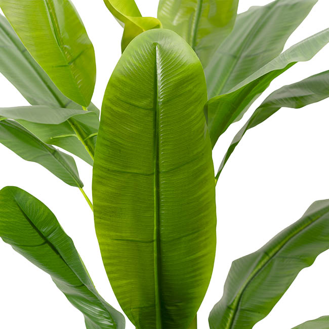 Artificial Banana Tree 3 Trunk Green (180cmH)