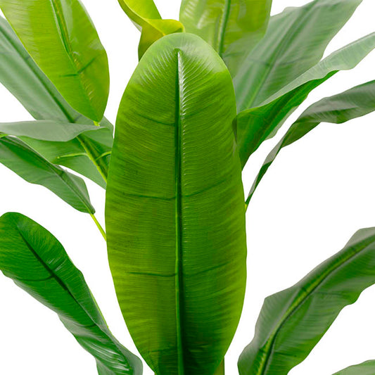 Artificial Banana Tree 3 Trunk Green (180cmH)