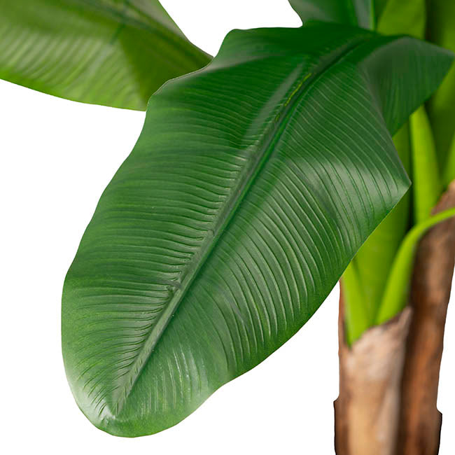 Artificial Banana Tree 3 Trunk Green (180cmH)