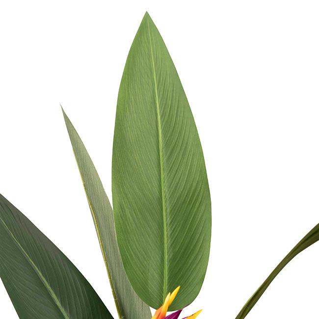 Artificial Bird of Paradise Plant Green (150cmH)