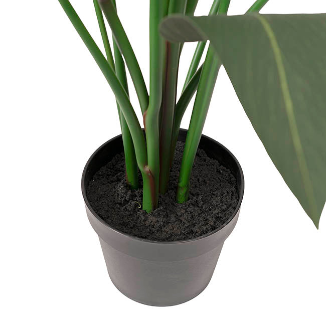 Artificial Bird of Paradise Plant Green (150cmH)