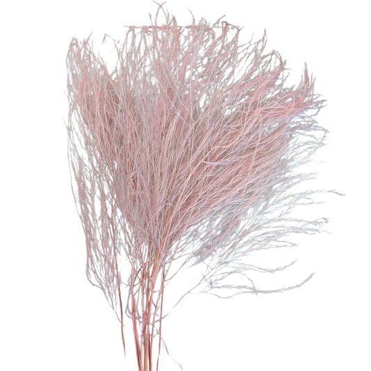 Preserved Tiki Fern, 10 stems, 55cm, Pale Pink