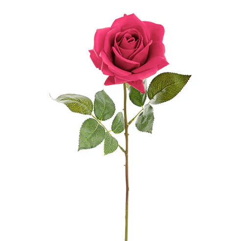 Bella Rose Real TouchFull Bloom Lge Hot Pink (12cmDx65cmH)