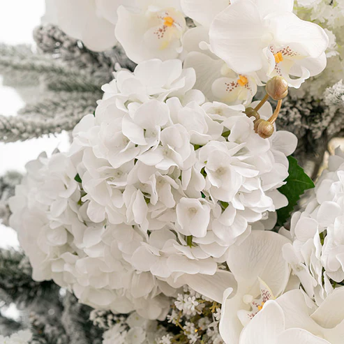 Annabelle Hydrangea Stem White (19cmDx55cmH)