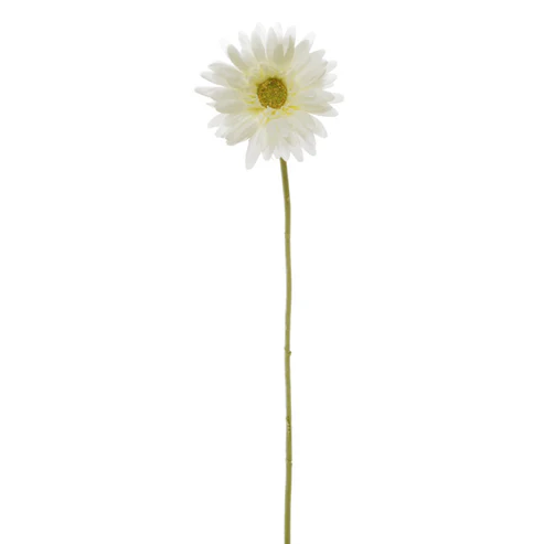 Gerbera Aztec White (10cmDx54cmH)