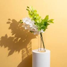 Cymbidium Orchid Real Touch 9 Head Soft Green (76cmH)