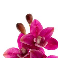 Cymbidium Orchid Real Touch 9 Head Magenta (76cmH)