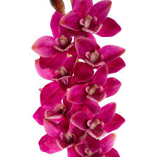 Cymbidium Orchid Real Touch 9 Head Magenta (76cmH)